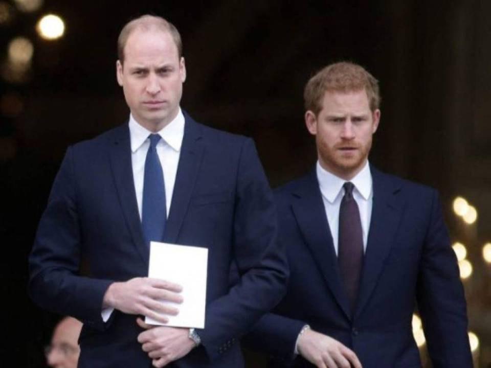 William y Harry, hijos de la fallecida princesa Diana y del actual rey de Inglaterra.
