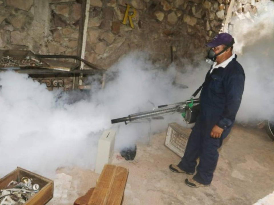 Entre enero y marzo del 2024 un total de 23,200 viviendas fueron intervenidas para evitar la propagación del dengue.