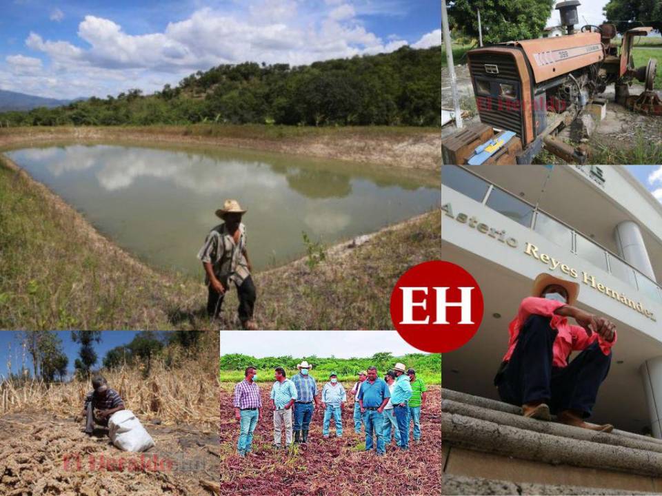 “Se termina el gobierno se termina el programa”, ese parece ser el triste presente de los productores agrícolas hondureños que cada vez ven más lejano la existencia de una política estatal para atender el agro.