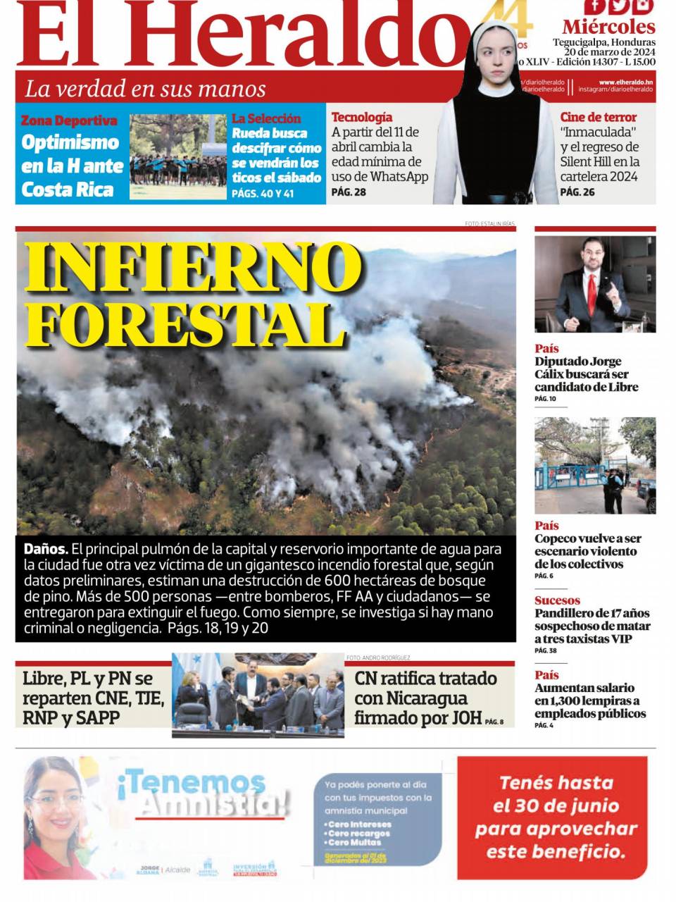 Infierno forestal