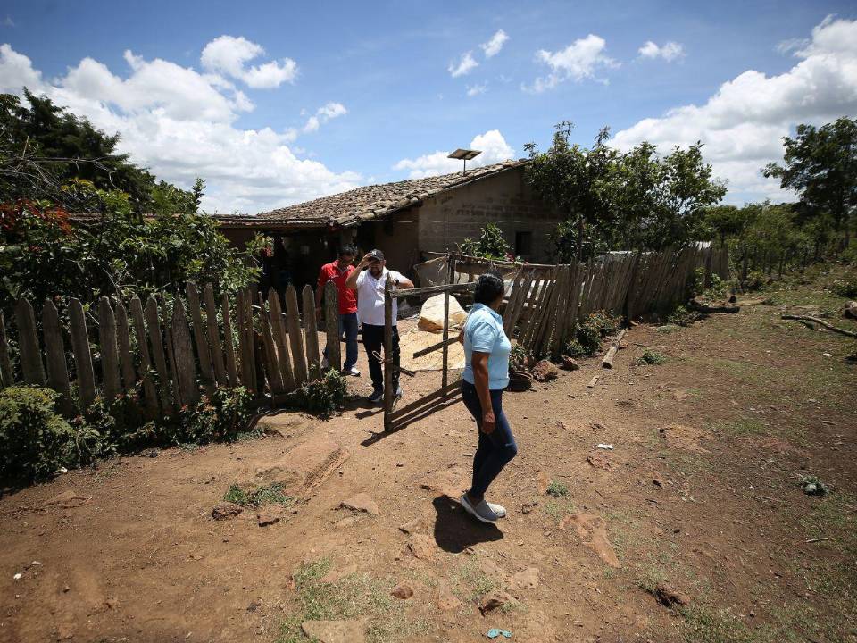 El gusano barrenador del ganado regresó a Honduras cuando las temperaturas máximas aumentaron u 1.5 grados. Expertos afirman que las altas temperaturas inciden en la proliferación de la enfermedad.