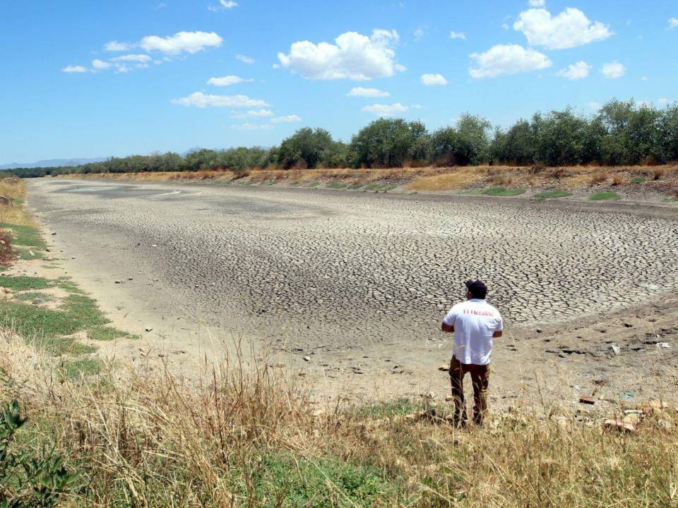 La industria del camarón en la zona sur de Honduras está en riesgo de desaparecer por falta de mercado.
