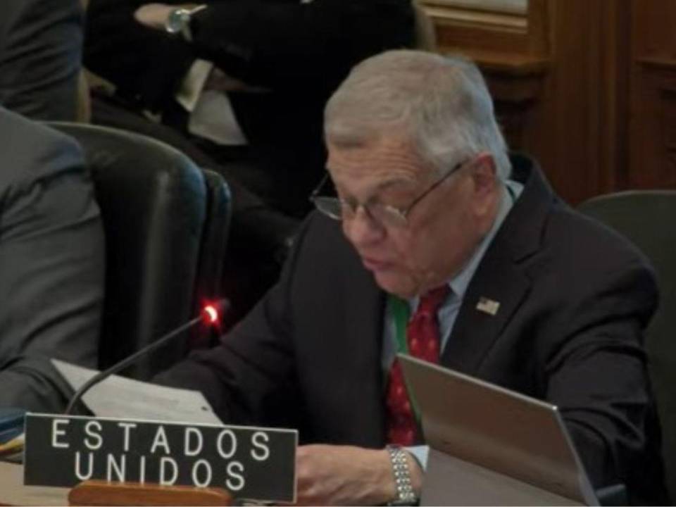 Michael Kozak, alto funcionario del Departamento de Estado de Estados Unidos, durante su intervención en la reunión extraordinaria del Consejo Permanente de la OEA.