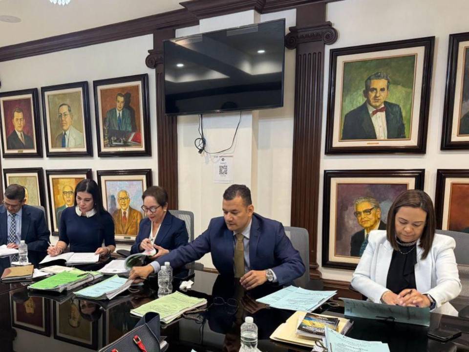 La Sala Constitucional desautorizó a la presidenta de la CSJ nombrar un ministro de fe pública que conozca escritos y recursos durante el periodo vacacional.