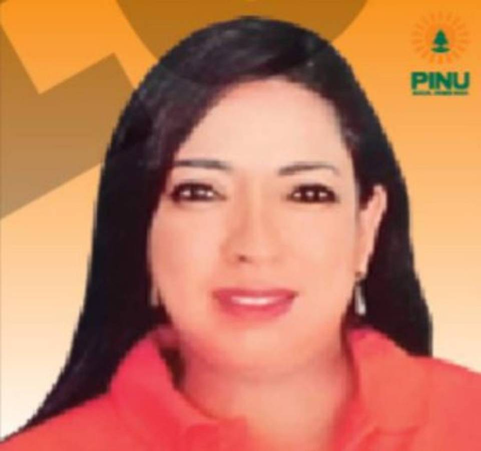 Estos son los 23 candidatos a diputados por el Pinu en Francisco Morazán (FOTOS)  