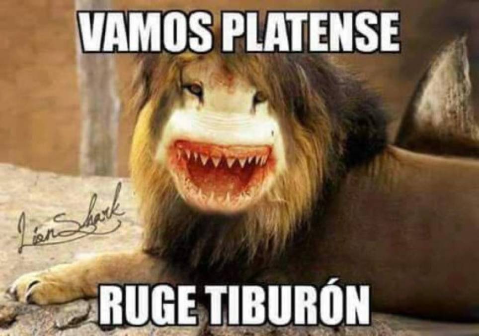 Divertidos memes calientan el duelo final entre Platense y Motagua