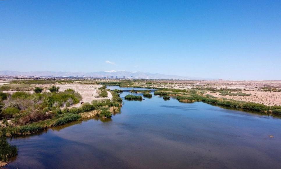Construida sobre un desierto y considerada ciudad de los excesos: Las Vegas es hoy estrella en conservación del agua