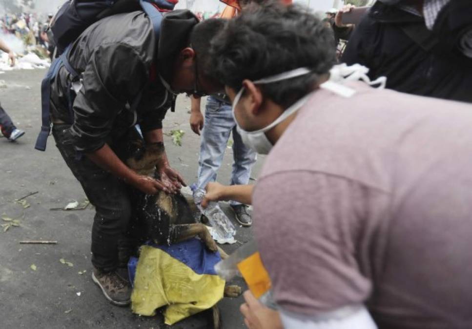 Ecuador: La crisis política y protestas en 10 impactantes imágenes