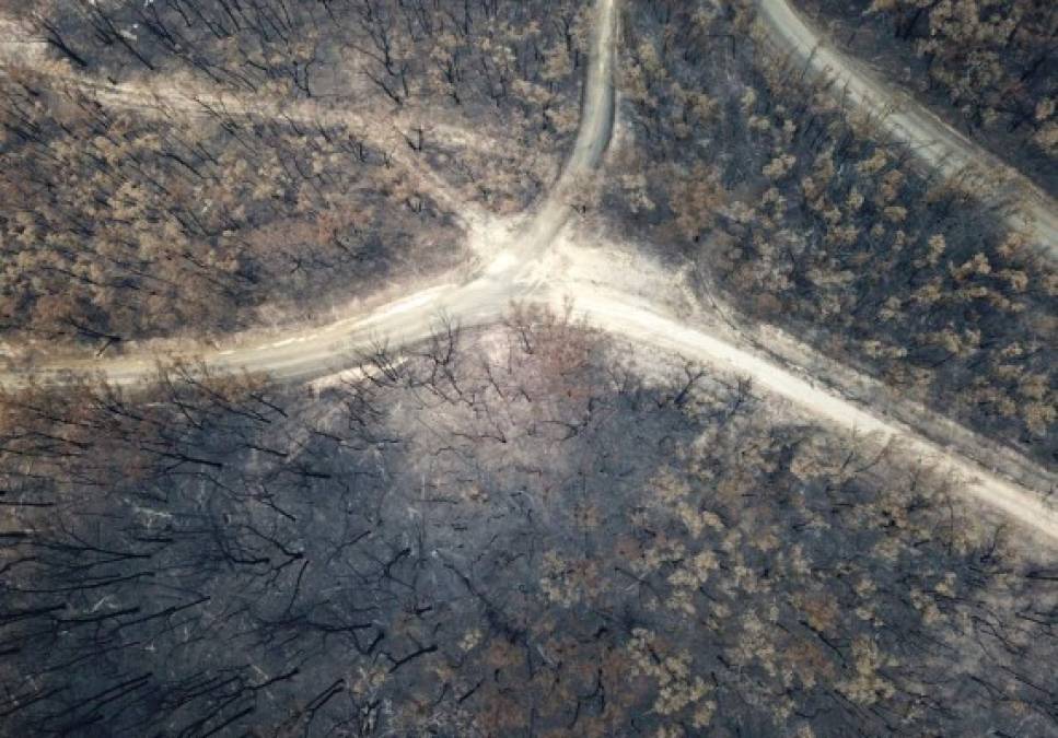 FOTOS: Desolación en Australia tras voraces incendios que destruyeron todo a su paso