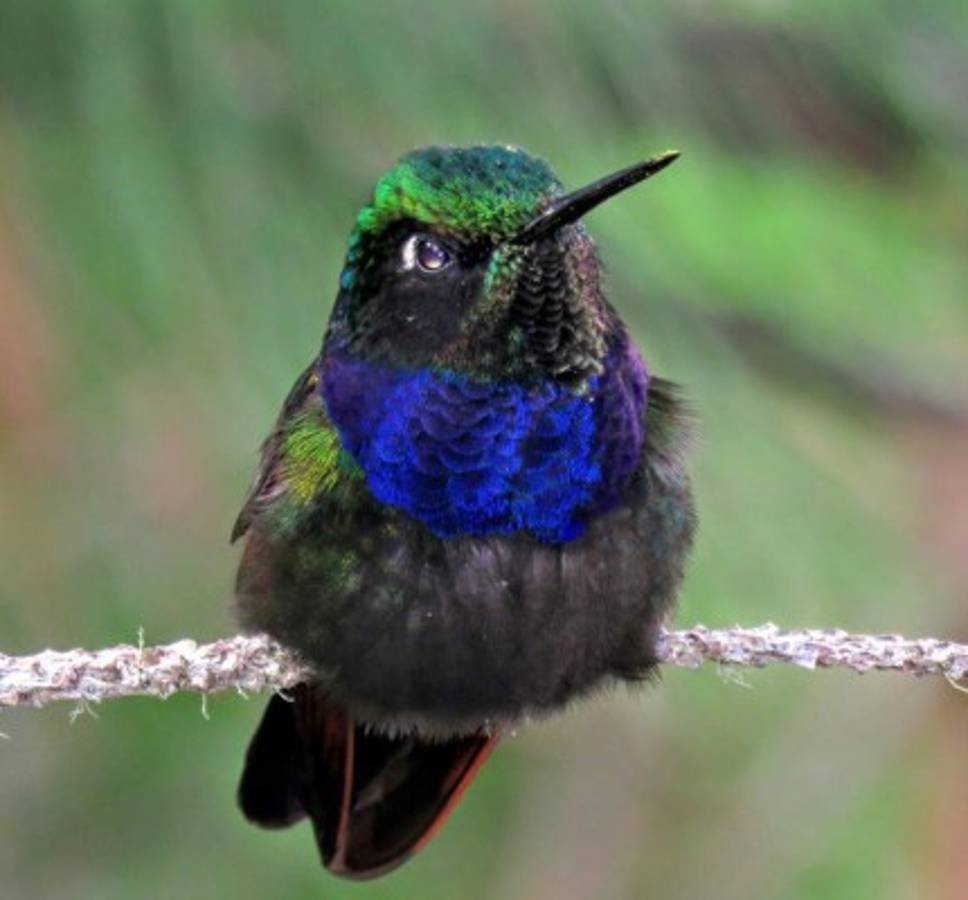 Un descubrimiento en Los Confines