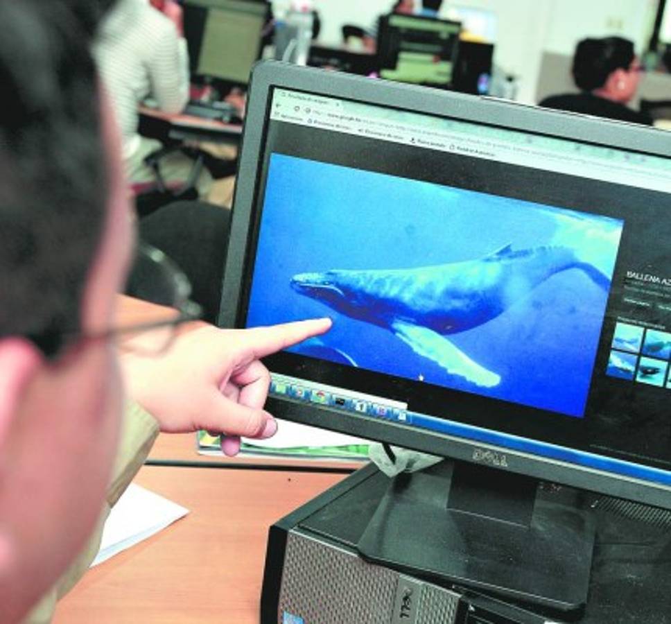 Honduras: Advierten de peligros por juego 'la ballena azul”