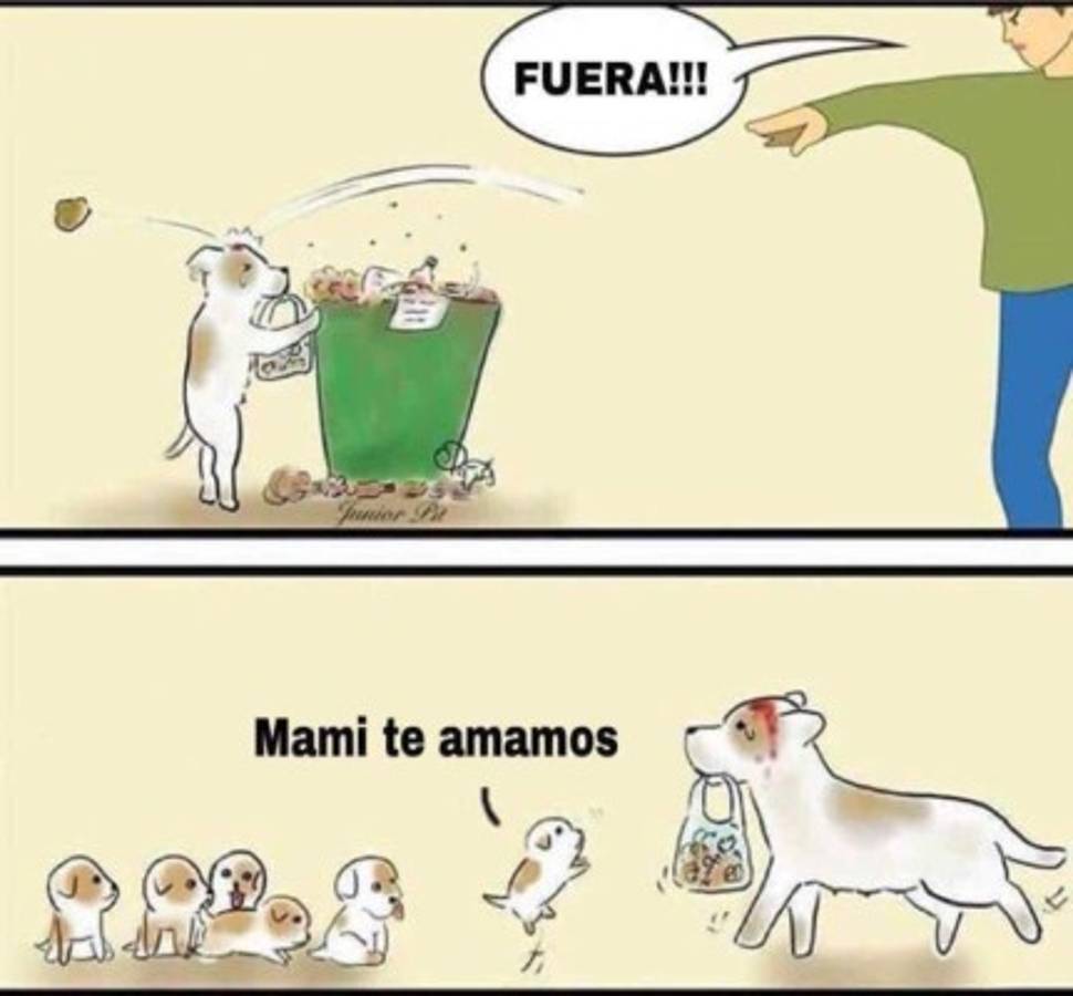 ¡A reír! Disfruta los mejores catrachistes de la semana