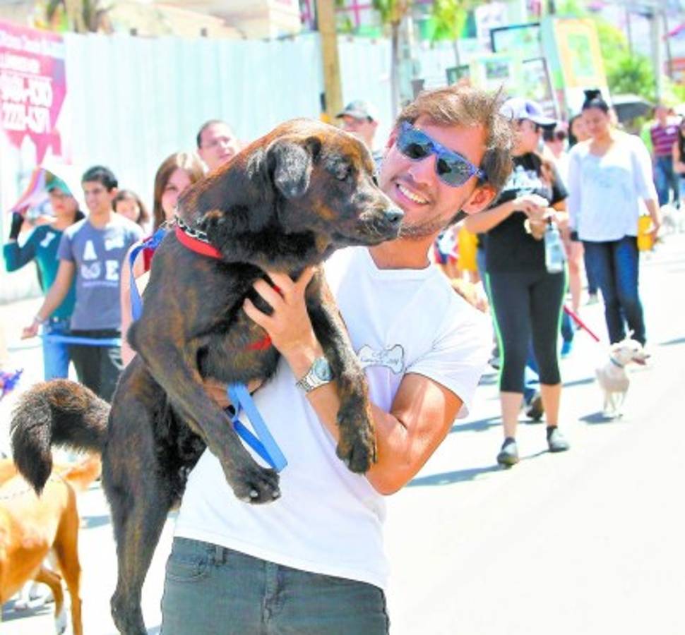 Honduras: Singular festejo para mascotas