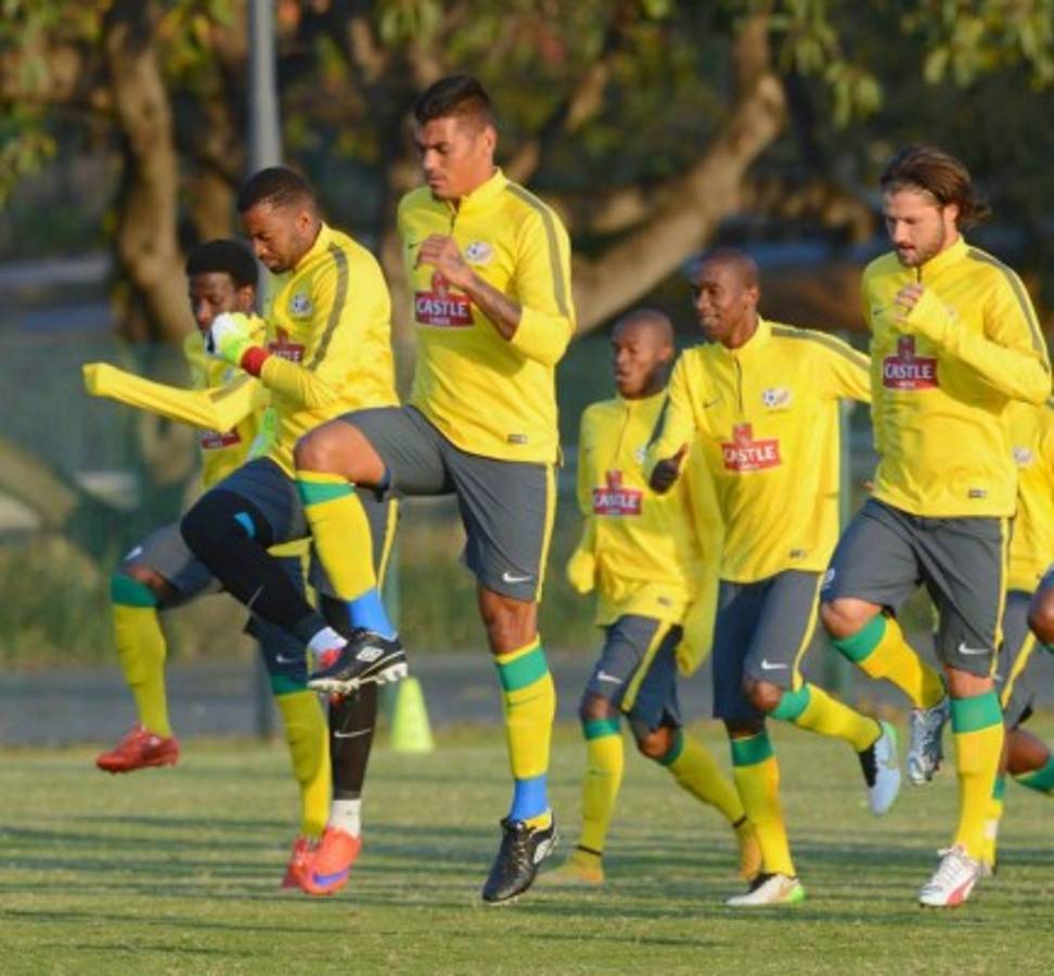 Sudáfrica anuncia su equipo para partidos ante Costa Rica y Honduras