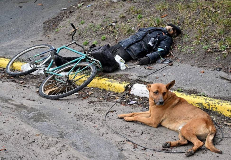 Los indicios del “genocidio” ruso denunciado por Ucrania (Fotos)