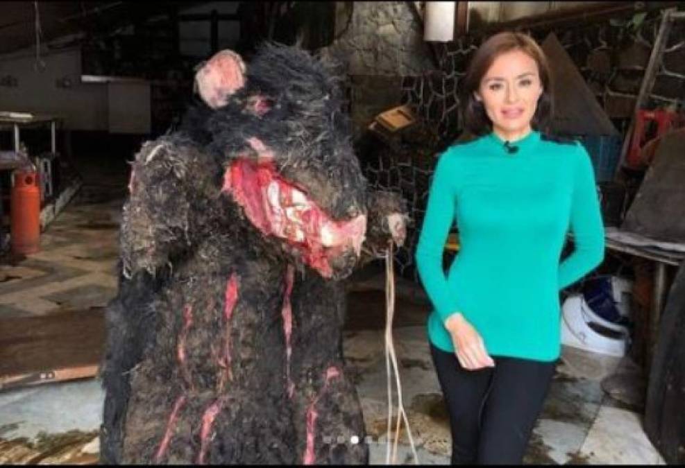 La polémica detrás del disfraz de rata gigante que tapó drenaje