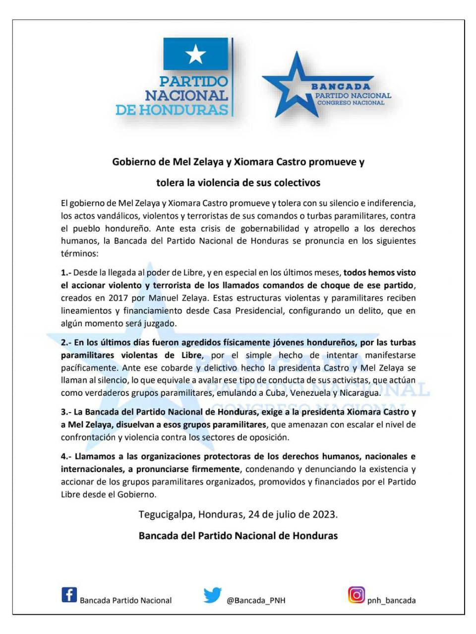 Partido Nacional exige la disolución de colectivos de Libre