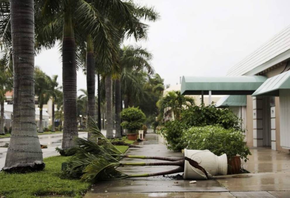 Las imágenes de una Florida azotada por el huracán Irma; ya son tres muertos