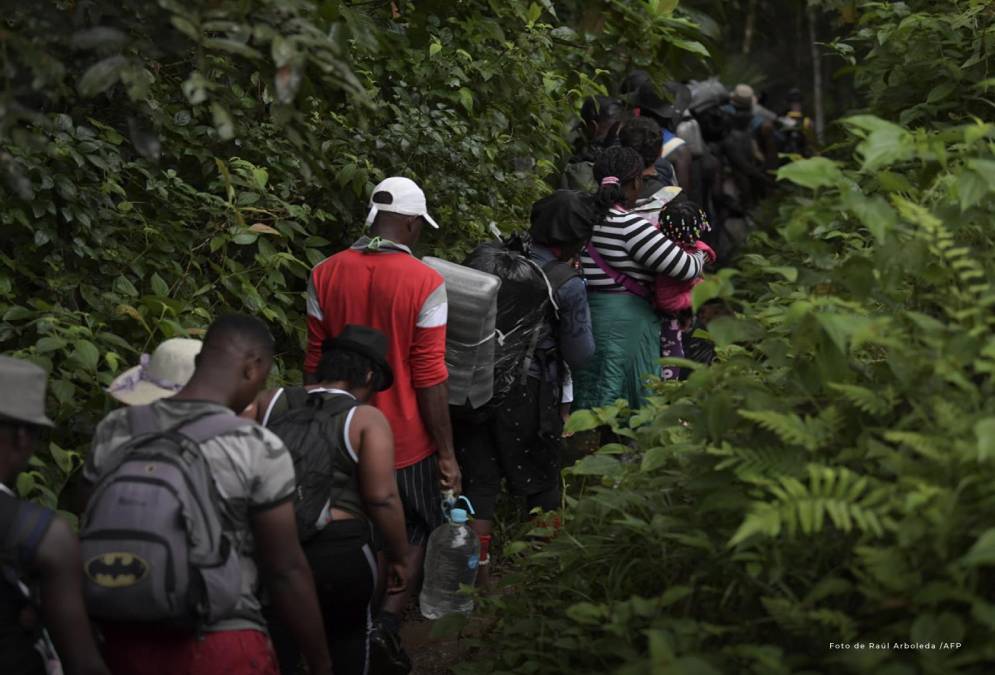 La selva del Darién: mafias, violencia sexual y animales, los peligros del conocido “tapón” de los migrantes