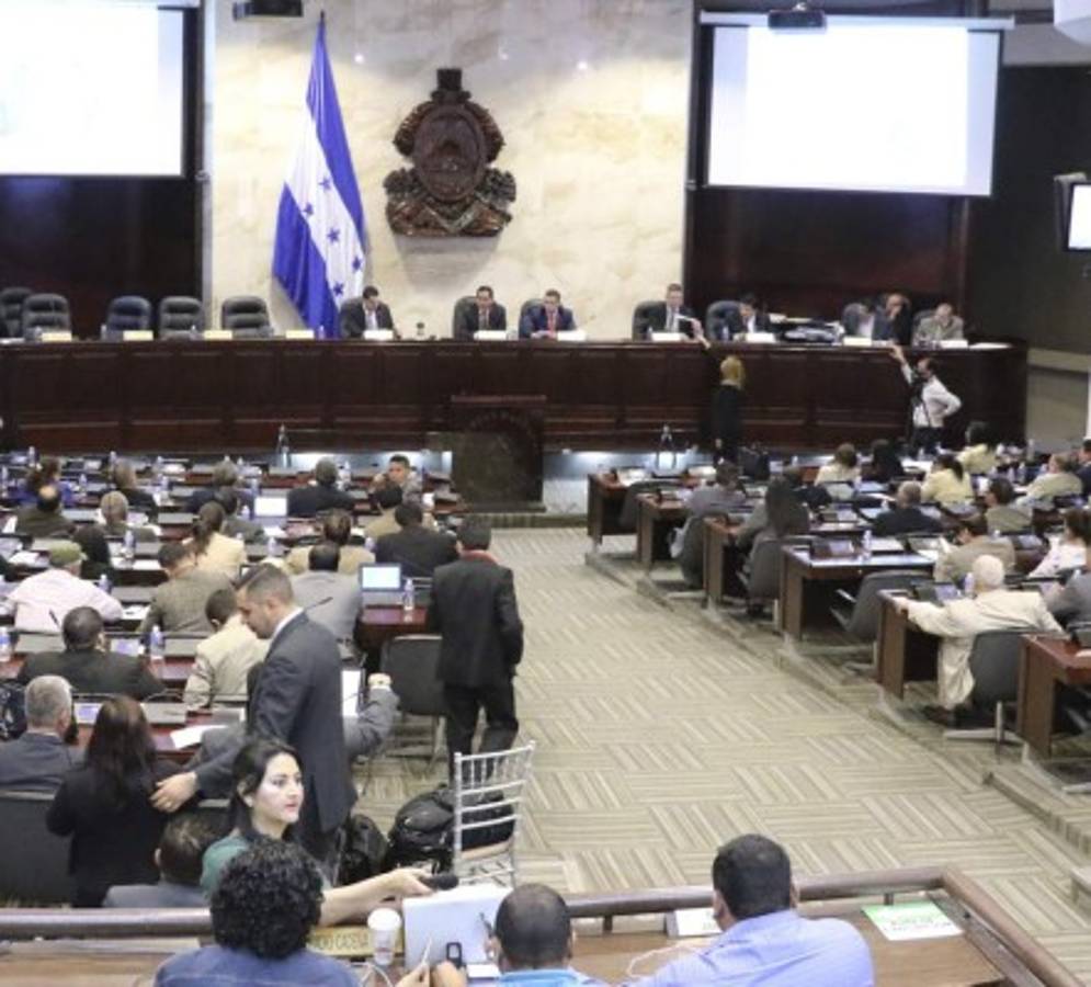 Sociedad civil también pide vetar reforma a la Ley de Privación de Dominio