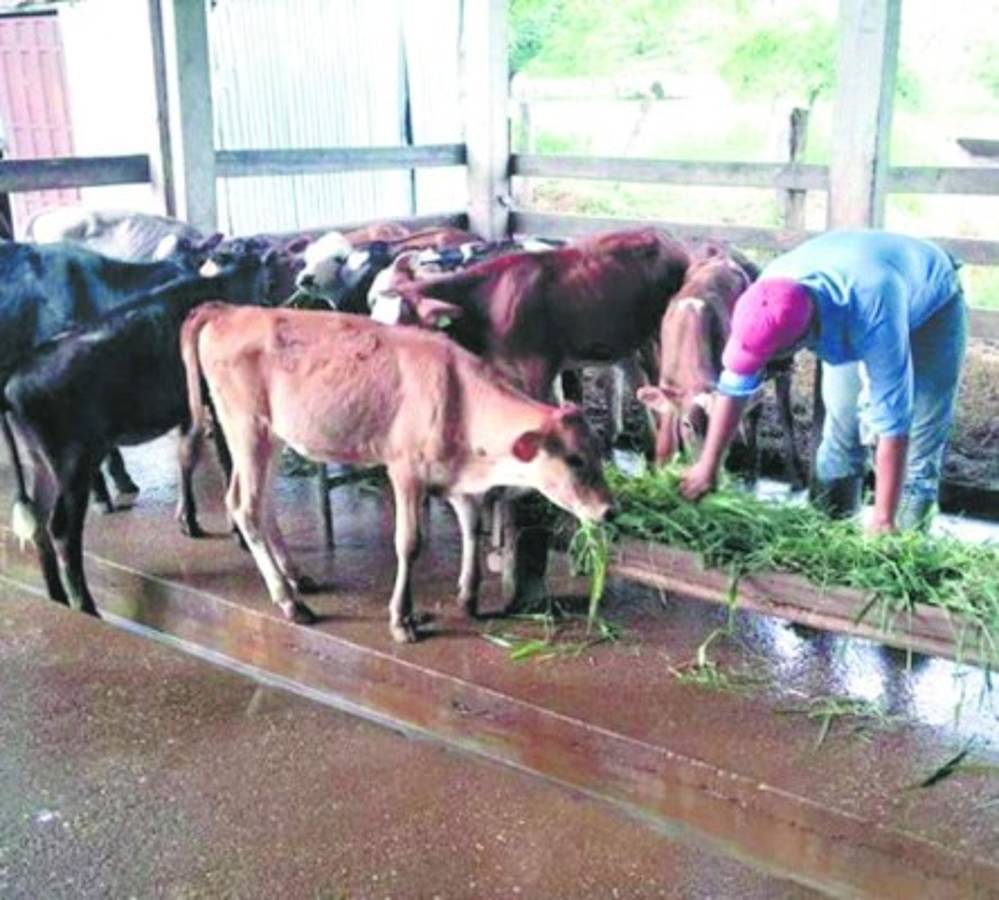 Los estudiantes tienen problemas para hacer prácticas.