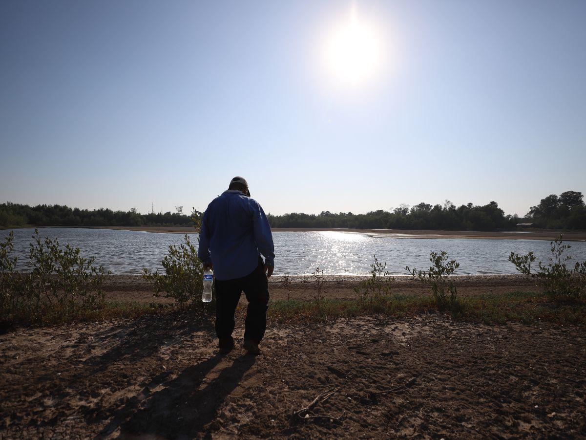 $!Laura Suazo: Trabajamos con Desarrollo Económico en el problema del camarón