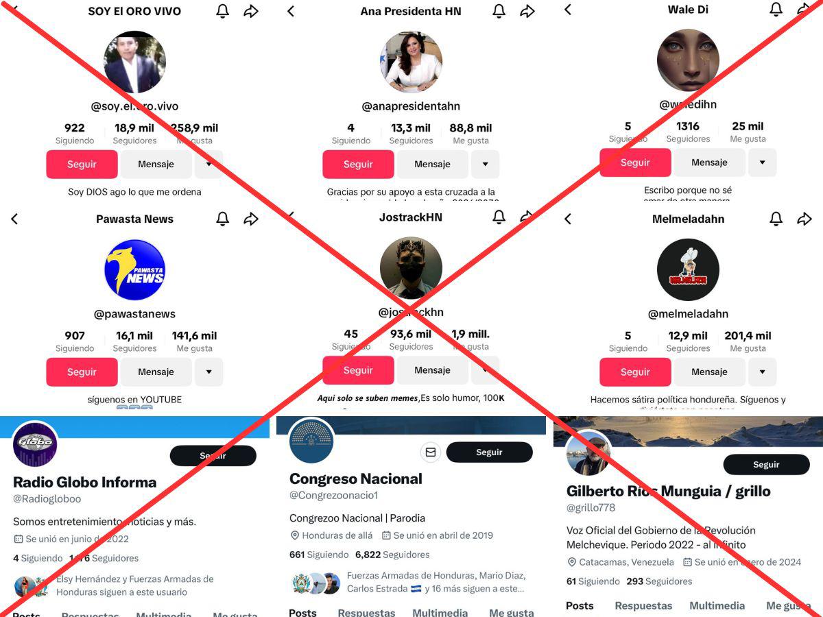 Combinación de capturas de pantalla de los perfiles en TikTok y X de cuentas identificadas por EL HERALDO Plus Factual que propagan desinformación usando la política. $!Combinación de capturas de pantalla de los perfiles en TikTok y X de cuentas identificadas por EL HERALDO Plus Factual que propagan desinformación usando la política.