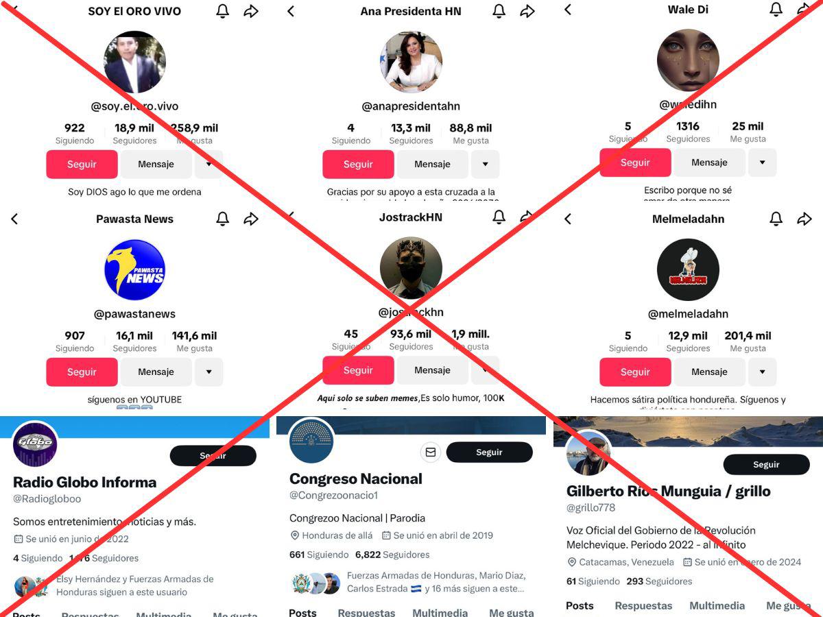 $!Combinación de capturas de pantalla de los perfiles en TikTok y X de cuentas identificadas por EL HERALDO Plus Factual que propagan desinformación usando la política.