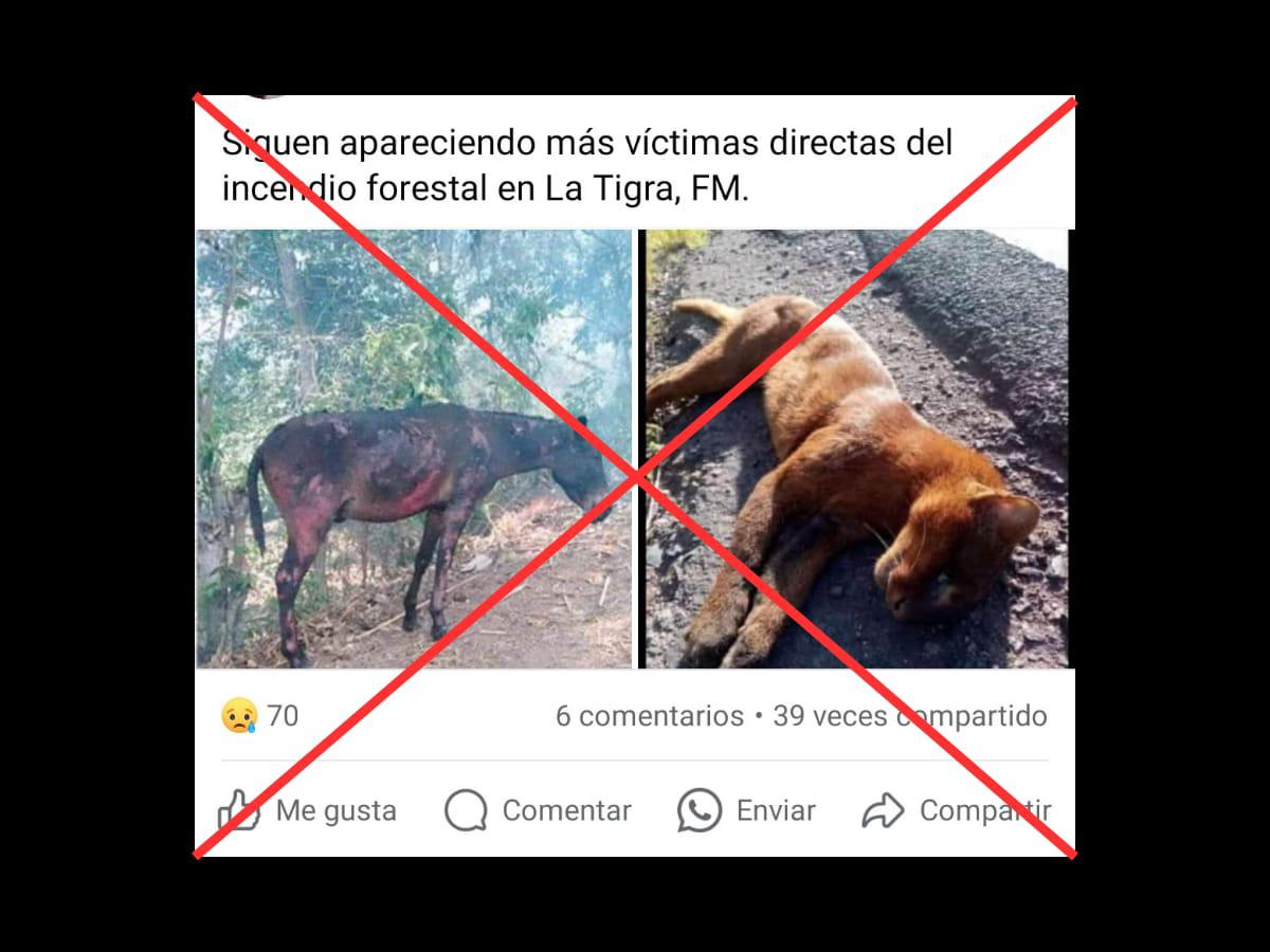 $!Captura de pantalla a una publicación de Facebook realizada el 21 de marzo de 2024.