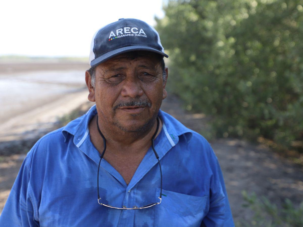 $!Crisis de camarón: 250 fincas cerraron al no haber mercado en Taiwán y México