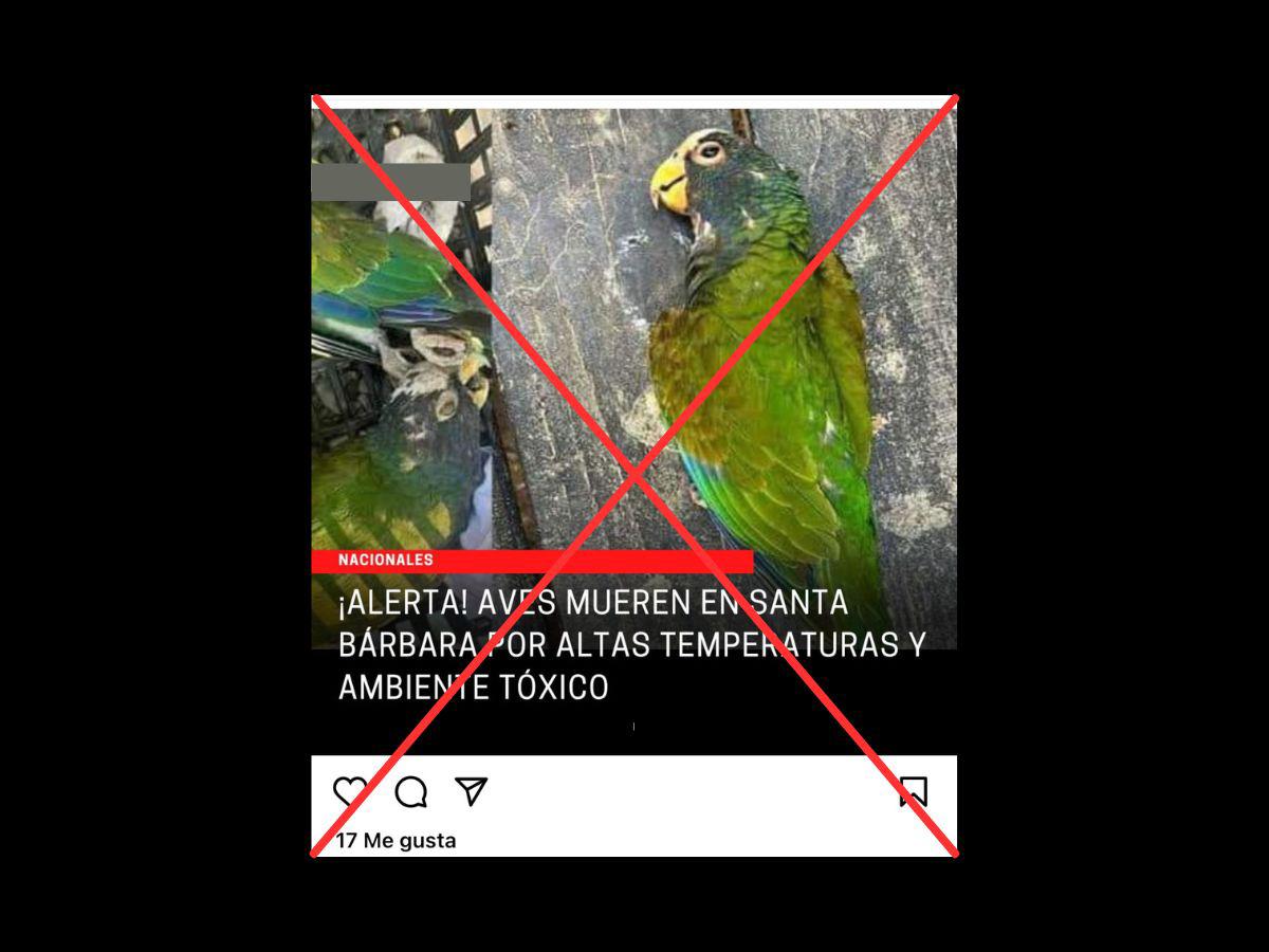 $!Captura de pantalla a una publicación de Instagram realizada el 30 de mayo de 2024.