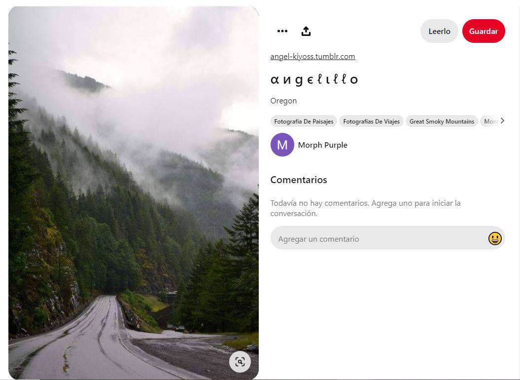 $!Captura de pantalla a una publicación de Pinterest realizada el 1 de abril de 2024.