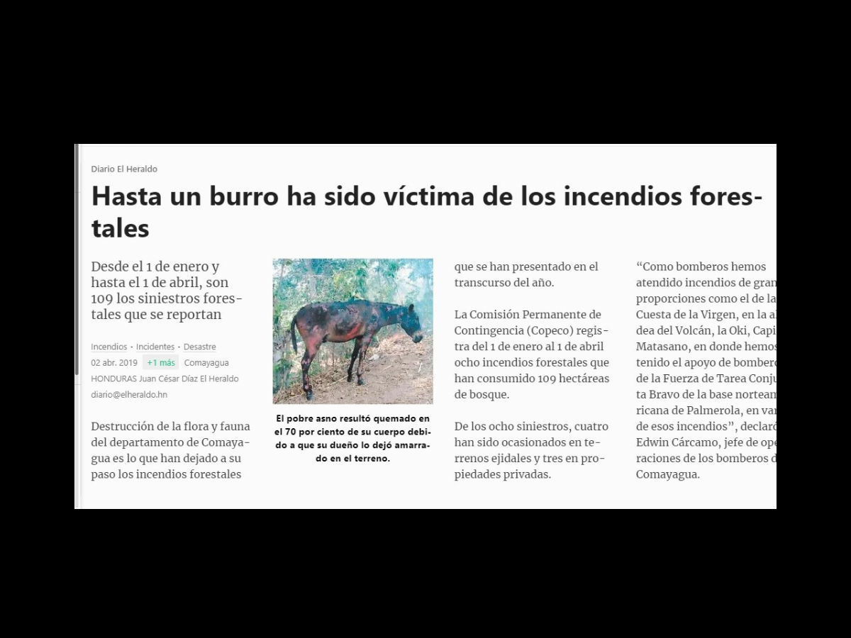 $!Captura de pantalla a una pieza de EL HERALDO publicada en Pressreader, realizada el 21 de marzo de 2024.