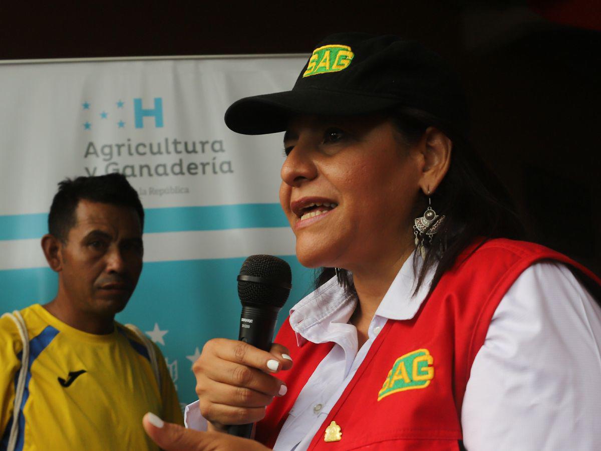 $!L 1,000 millones en bono no ajustan para abastecer a los pequeños productores de Honduras
